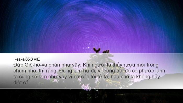 I-sai-a 65:8 VIE Bible Verse Image