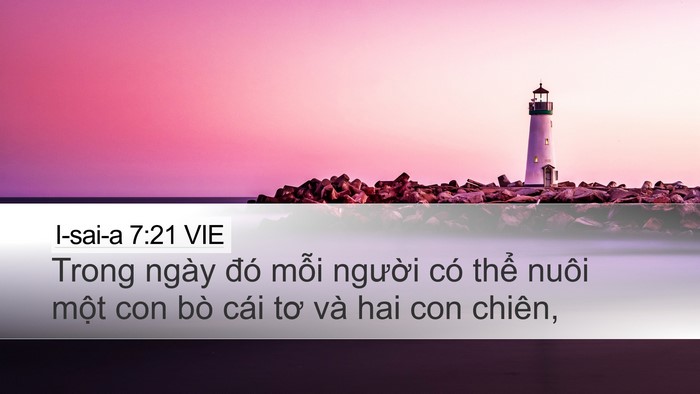 I-sai-a 7:21 VIE Bible Verse Image