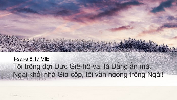 I-sai-a 8:17 VIE Bible Verse Image