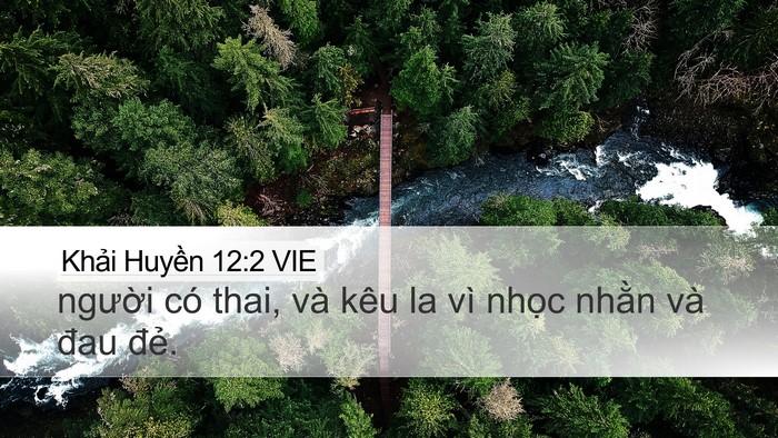 Khải Huyền 12:2 VIE Bible Verse Image