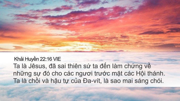 Khải Huyền 22:16 VIE Bible Verse Image