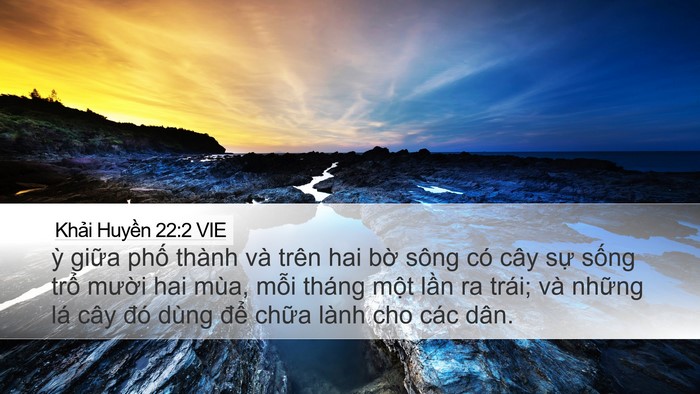 Khải Huyền 22:2 VIE Bible Verse Image