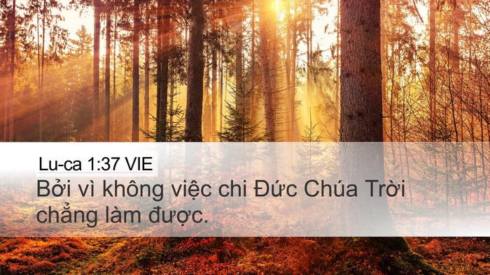 Lu-ca 1:37 VIE Bible Verse Image