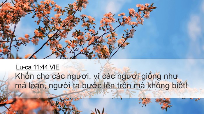 Lu-ca 11:44 VIE Bible Verse Image