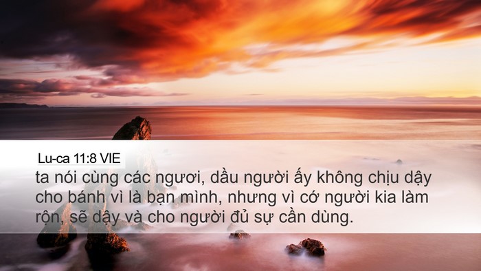 Lu-ca 11:8 VIE Desktop Wallpaper - ta nói cùng các ngươi, dầu người ấy - Desktop Bible Verse Wallpaper