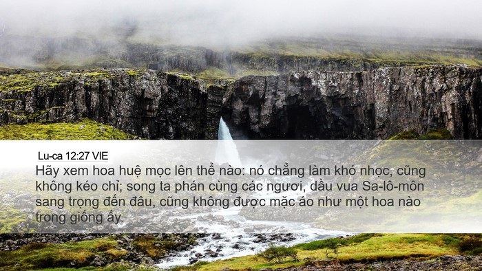 Lu-ca 12:27 VIE Bible Verse Image