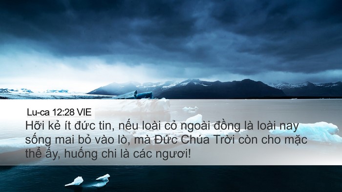 Lu-ca 12:28 VIE Bible Verse Image