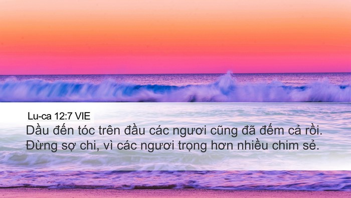 Lu-ca 12:7 VIE Bible Verse Image