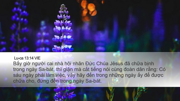 Lu-ca 13:14 VIE Bible Verse Image