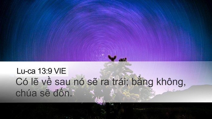 Lu-ca 13:9 VIE Desktop Wallpaper - Có lẽ về sau nó sẽ ra trái; bằng - Desktop Bible Verse Wallpaper