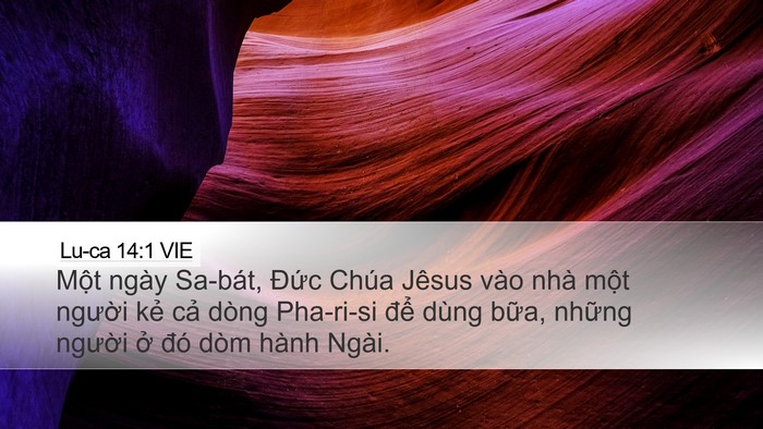 Lu-ca 14:1 VIE Bible Verse Image