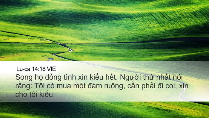 Lu-ca 14:18 VIE Bible Verse Image