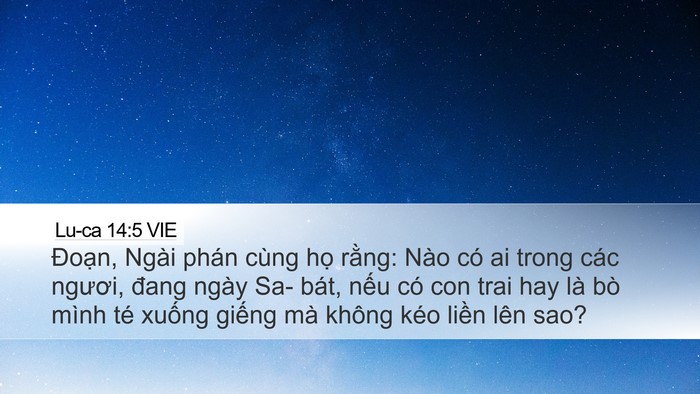 Lu-ca 14:5 VIE Bible Verse Image