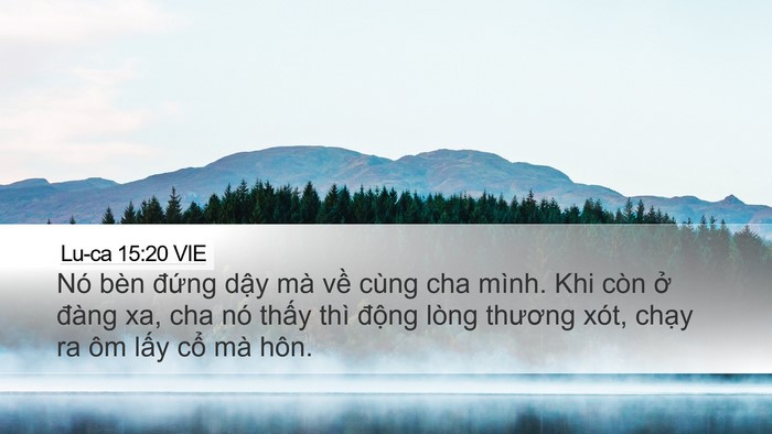 Lu-ca 15:20 VIE Desktop Wallpaper - Nó bèn đứng dậy mà về cùng cha mình. - Desktop Bible Verse Wallpaper