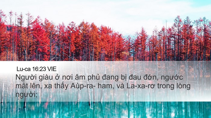 Lu-ca 16:23 VIE Bible Verse Image