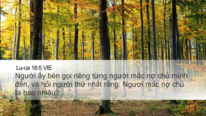 Lu-ca 16:5 VIE Desktop Wallpaper - Người ấy bèn gọi riêng từng người - Desktop Bible Verse Wallpaper