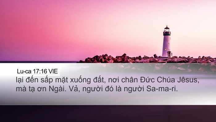 Lu-ca 17:16 VIE Bible Verse Image