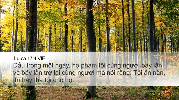 Lu-ca 17:4 VIE Bible Verse Image