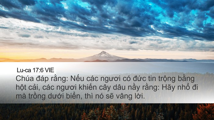 Lu-ca 17:6 VIE Bible Verse Image
