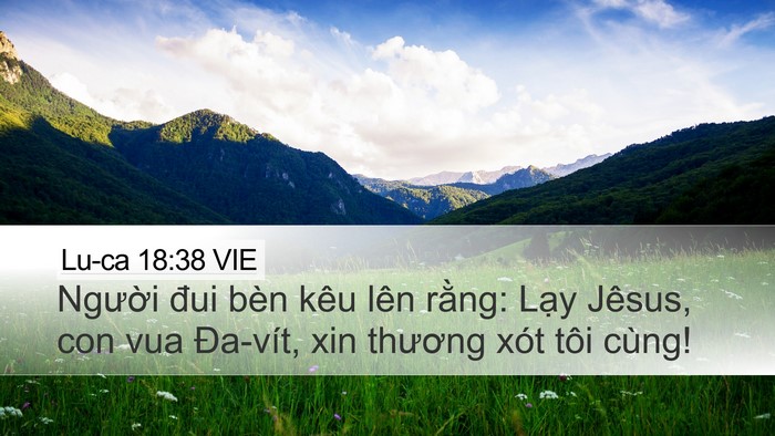 Lu-ca 18:38 VIE Bible Verse Image