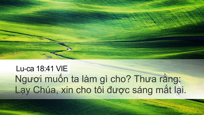 Lu-ca 18:41 VIE Desktop Wallpaper - Ngươi muốn ta làm gì cho? Thưa rằng: - Desktop Bible Verse Wallpaper