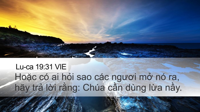 Lu-ca 19:31 VIE Bible Verse Image