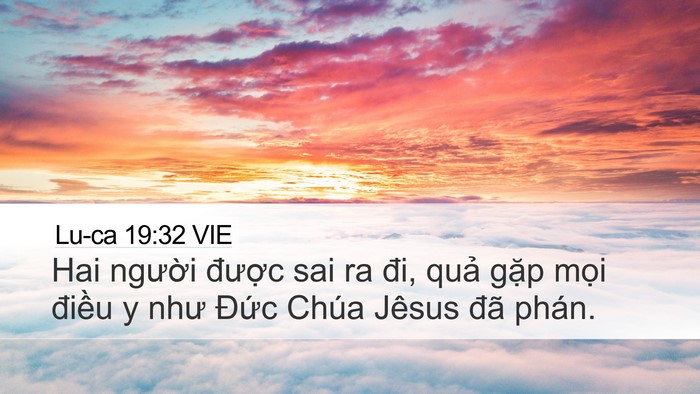 Lu-ca 19:32 VIE Bible Verse Image