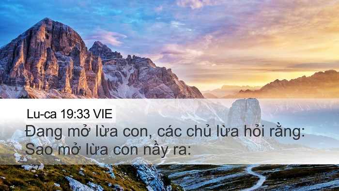 Lu-ca 19:33 VIE Desktop Wallpaper - Đang mở lừa con, các chủ lừa hỏi - Desktop Bible Verse Wallpaper