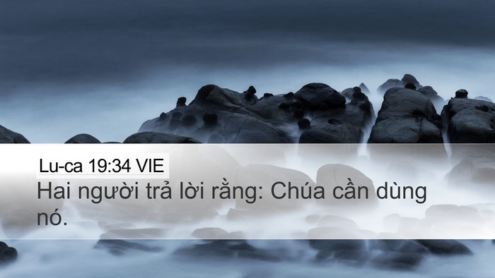 Lu-ca 19:34 VIE Bible Verse Image