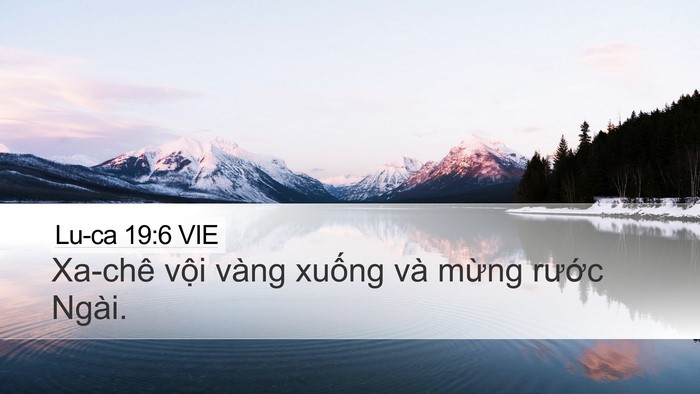 Lu-ca 19:6 VIE Bible Verse Image
