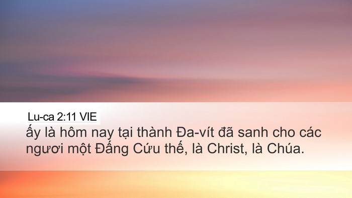 Lu-ca 2:11 VIE Bible Verse Image