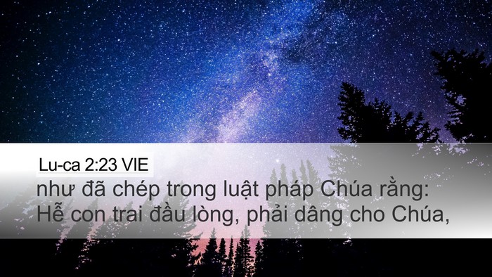 Lu-ca 2:23 VIE Bible Verse Image