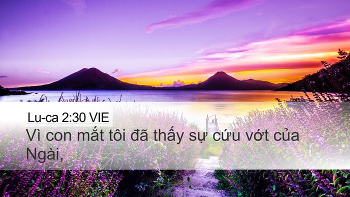 Lu-ca 2:30 VIE Bible Verse Image