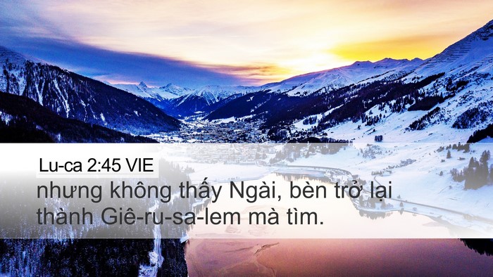 Lu-ca 2:45 VIE Desktop Wallpaper - nhưng không thấy Ngài, bèn trở lại - Desktop Bible Verse Wallpaper