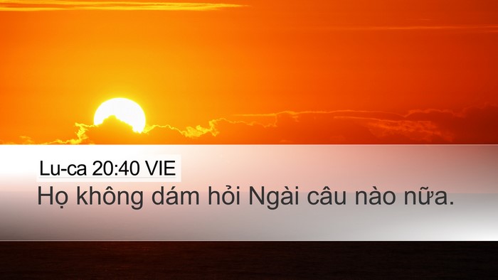 Lu-ca 20:40 VIE Bible Verse Image