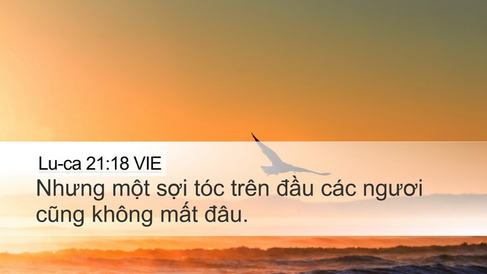 Lu-ca 21:18 VIE Bible Verse Image