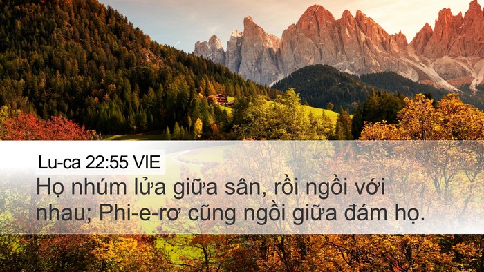 Lu-ca 22:55 VIE Bible Verse Image