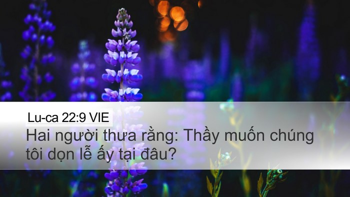 Lu-ca 22:9 VIE Desktop Wallpaper - Hai người thưa rằng: Thầy muốn chúng - Desktop Bible Verse Wallpaper