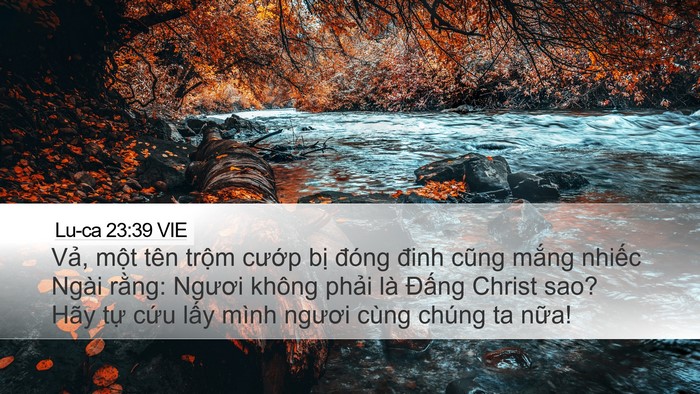 Lu-ca 23:39 VIE Bible Verse Image