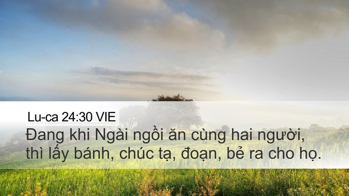 Lu-ca 24:30 VIE Bible Verse Image