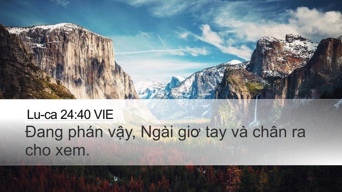 Lu-ca 24:40 VIE Desktop Wallpaper - Đang phán vậy, Ngài giơ tay và chân ra - Desktop Bible Verse Wallpaper