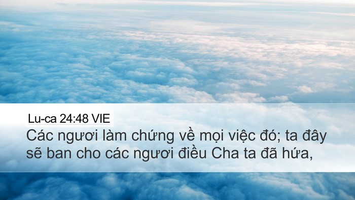 Lu-ca 24:48 VIE Bible Verse Image