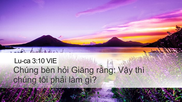 Lu-ca 3:10 VIE Bible Verse Image