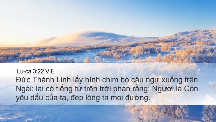 Lu-ca 3:22 VIE Bible Verse Image