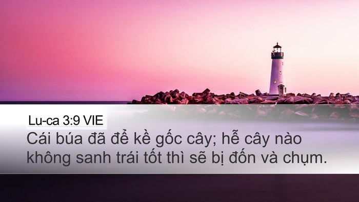 Lu-ca 3:9 VIE Bible Verse Image