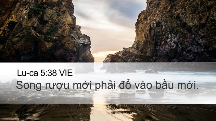 Lu-ca 5:38 VIE Desktop Wallpaper - Song rượu mới phải đổ vào bầu - Desktop Bible Verse Wallpaper
