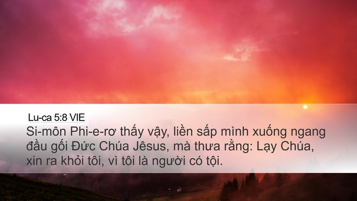 Lu-ca 5:8 VIE Bible Verse Image