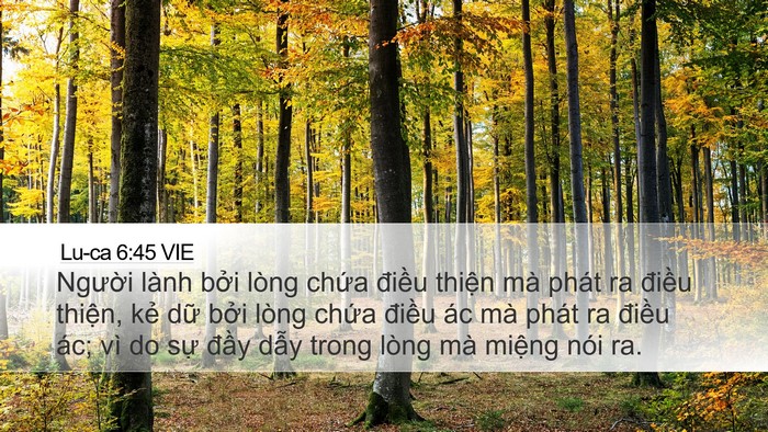 Lu-ca 6:45 VIE Bible Verse Image