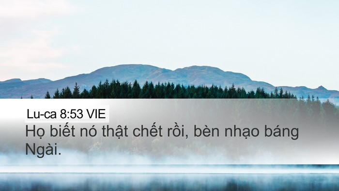 Lu-ca 8:53 VIE Bible Verse Image