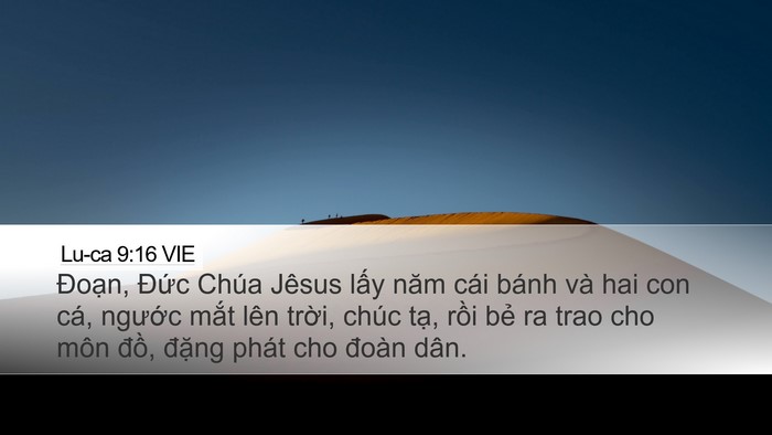 Lu-ca 9:16 VIE Bible Verse Image